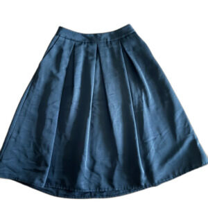 NWT Express Black Pleated Midi Skirt Women's 00